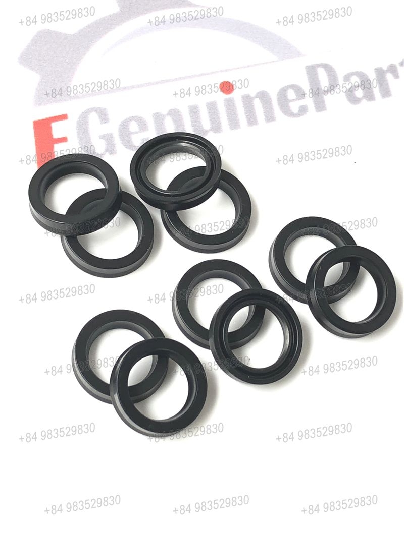 PHỚT TAY CHANG PHI 10 (1SET=10EA)