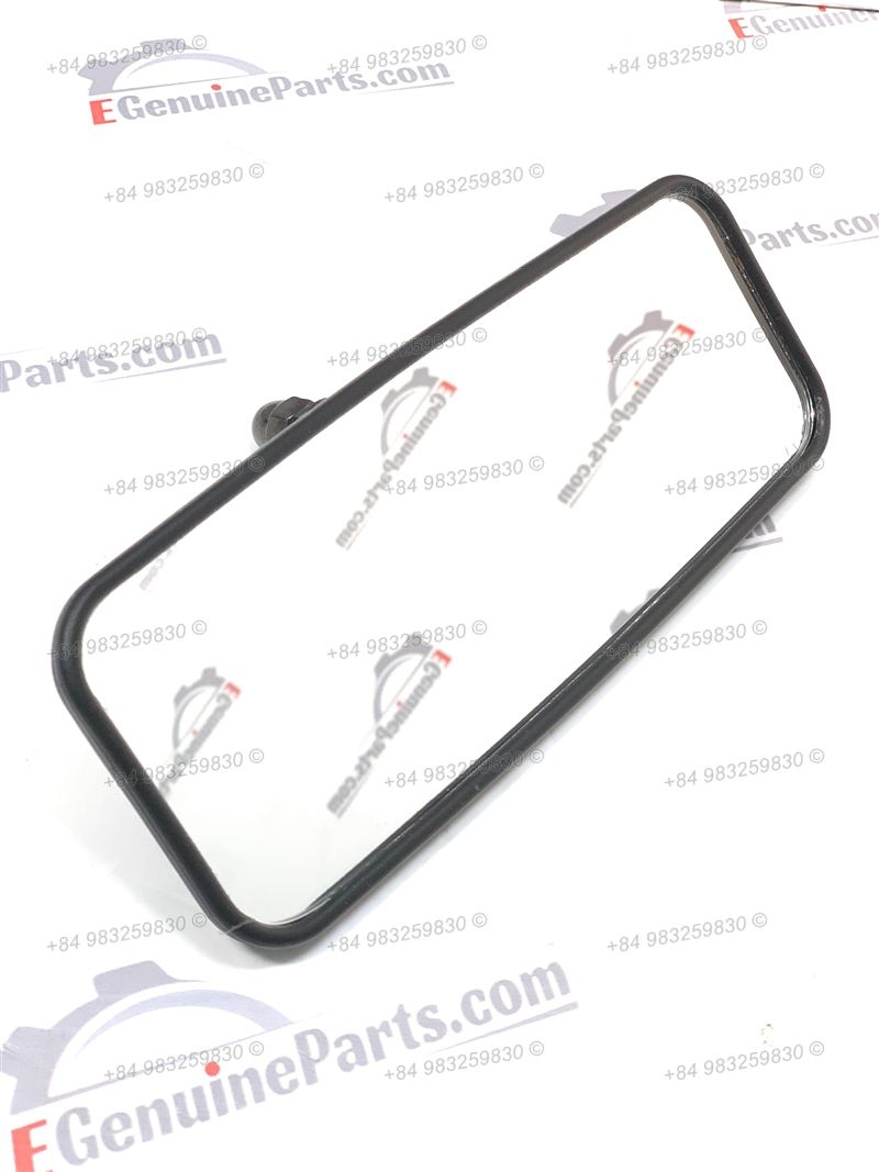 GƯƠNG TRONG CA BIN (DX55)